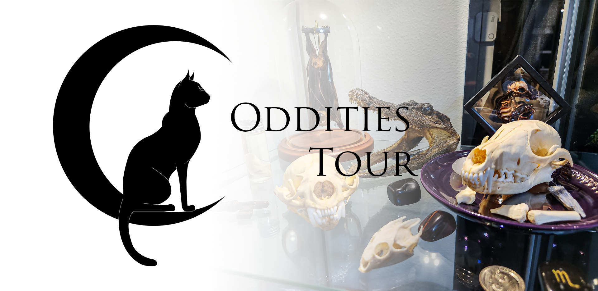 Oddities Tour and Unboxing